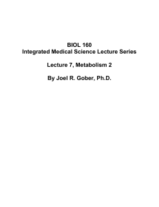 Lecture 008, Tissue - SuperPage for Joel R. Gober, PhD.