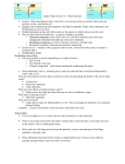 Grade 8 Quiz Review #2 – Water Systems