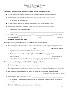 Chapter 49 Student Guided Notes