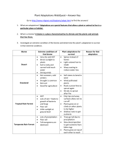 Plant Adaptations WebQuest-key