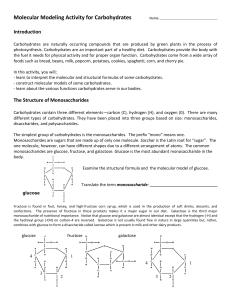 Molecular Modeling Activity for Carbohydrates