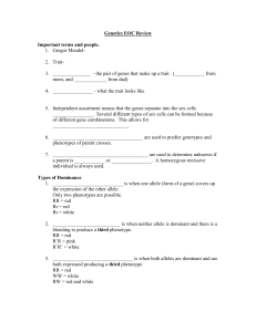 Genetics EOC Review