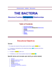 THE BACTERIA