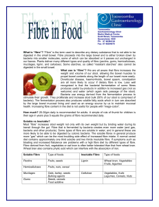 What is “fibre”? “Fibre” is the term used to describe any dietary