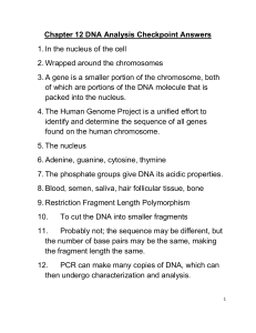 Chapter 12 DNA Analysis Checkpoint Answers In the nucleus of the