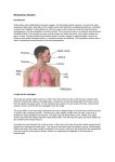 Respiratory System