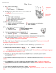 Plant Practical - Net Start Class