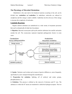 Medical Microbiology Lecture 5 Third class/ Dentistry College The