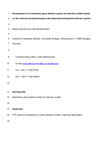 Application of the new manP counter-selection system for B. subtilis