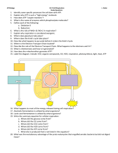 AP Biology Ch 9 Cell Respiration J. Dolce Study Questions Identify