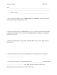 Plant histology handout