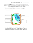 Unit 1 Test Review Guide