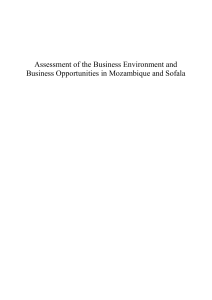 4. The Business Environment in Mozambique