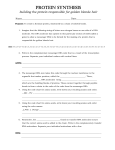 Protein Synthesis