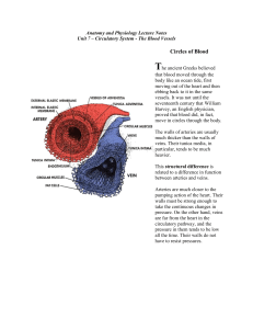Unit 7 – Circulatory System