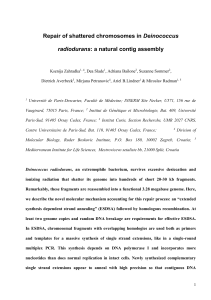 Extreme Radiation Resistance by Interdependent DNA