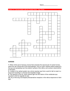 2.4 Crossword - Avon Community School Corporation