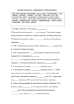 Revision Summary – Respiration + Photosynthesis