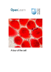 A tour of the cell - The Open University