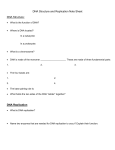 DNA Structure and Replication Note Sheet