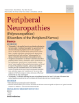 peripheral_neuropathies