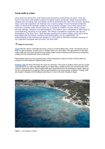 Coral reefs in crisis