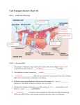 Chapter 3 Review Questions