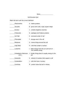 Cell Structure Quiz