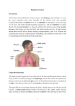 READING_Respiratory_System