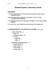 Review of Skeletal System (PDF)