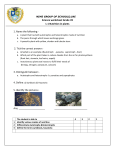 NIMS GROUP OF SCHOOLS,UAE Science worksheet Grade VII L