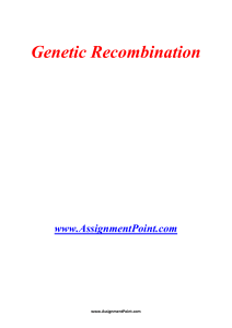 Genetic Recombination www.AssignmentPoint.com Genetic