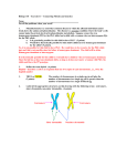 Sample Quiz On Ex13