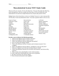 Musculoskeletal System Test STUDY GUIDE