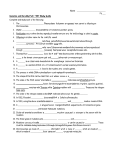 Cell Theory Quiz Study Guide Name