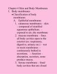 Chapter 4 Skin and Body Membranes