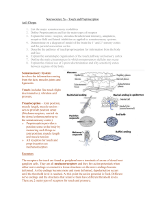 Neuroscience 5a – Touch and Proprioception