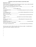 File respiratory system and circulatory system study guide