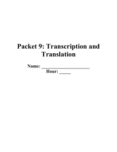 Packet 9: Transcription and Translation Name: Hour: _____ Notes