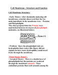 Cell Membrane : Structure and Function - Mr. Lesiuk