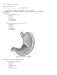 BIO 210 Anatomy and Physiology Homework #9: Chs. 24
