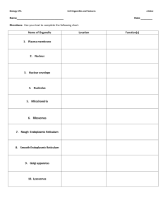 Biology CPA Cell Organelles and Features J.Dolce