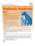 nephrotic_syndrome