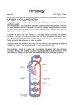 Physiology Lec.(1) Dr.Rafah Sami