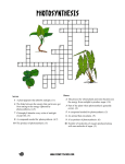 Photosynthesis Crossword - Science