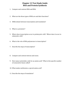 Study Guide: The Cell