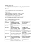 World War II Review Sheets This study guide must be posted on