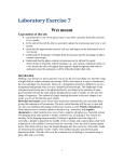 laboratory_excercise_7_wetmount