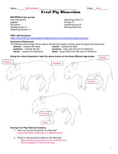 PRE-LAB Questions