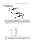 Suggested Exercises to Strengthen Muscles at Risk in Swimming